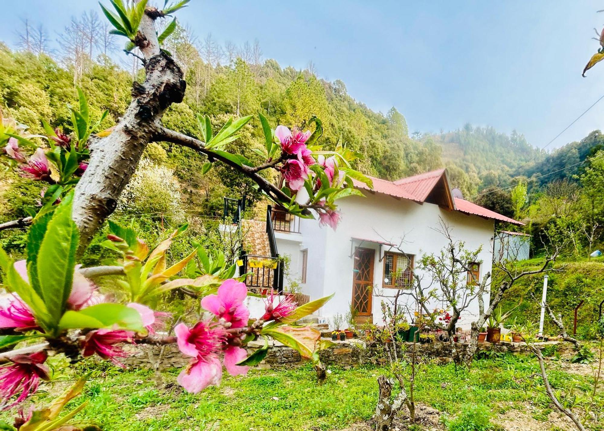Love'S Farm, Cottage In Ramgarh Rāmgarh Exterior photo